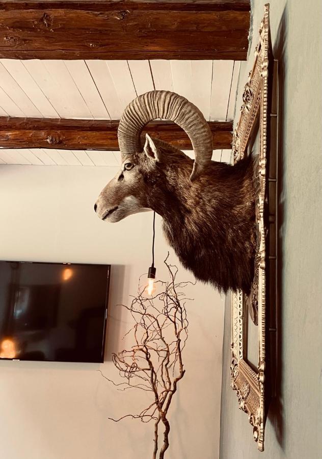Chalet Sch-L-Afbock Markranstädt 외부 사진